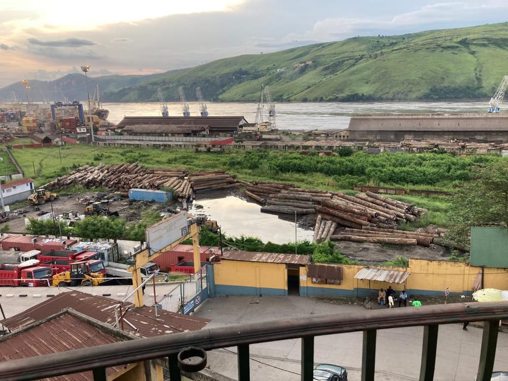 Les Yeux de Matadi: The DRC Export Reality & the Invisible Opportunity for Superfoods post feature image